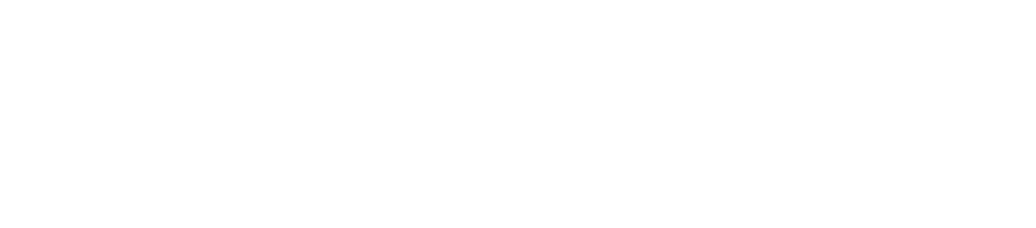 ProLudiQ